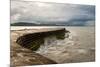 A Stormy Day at the Cobb in Lyme Regis in Dorset, England UK-Tracey Whitefoot-Mounted Photographic Print