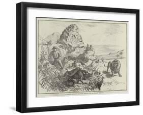 A Strange Defensive Alliance, Baboons and Man Against the Lion-null-Framed Giclee Print