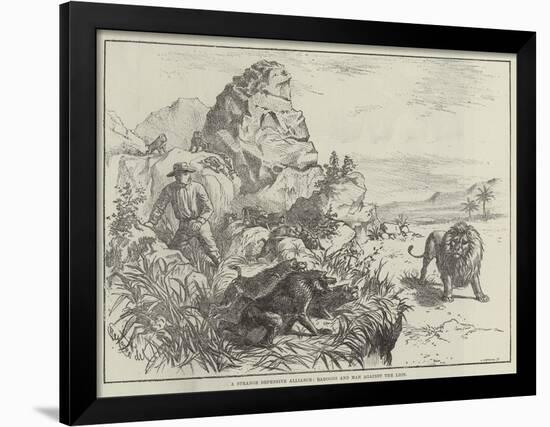 A Strange Defensive Alliance, Baboons and Man Against the Lion-null-Framed Premium Giclee Print