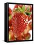 A Strawberry in the Foreground, Lots of Strawberries Behind-Dieter Heinemann-Framed Stretched Canvas