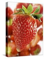 A Strawberry in the Foreground, Lots of Strawberries Behind-Dieter Heinemann-Stretched Canvas