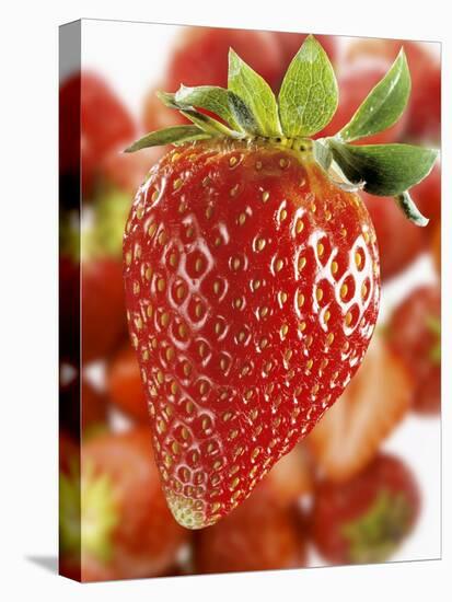 A Strawberry in the Foreground, Lots of Strawberries Behind-Dieter Heinemann-Stretched Canvas