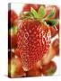 A Strawberry in the Foreground, Lots of Strawberries Behind-Dieter Heinemann-Stretched Canvas