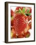 A Strawberry in the Foreground, Lots of Strawberries Behind-Dieter Heinemann-Framed Photographic Print