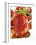 A Strawberry in the Foreground, Lots of Strawberries Behind-Dieter Heinemann-Framed Photographic Print