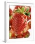 A Strawberry in the Foreground, Lots of Strawberries Behind-Dieter Heinemann-Framed Photographic Print