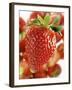 A Strawberry in the Foreground, Lots of Strawberries Behind-Dieter Heinemann-Framed Photographic Print