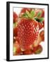 A Strawberry in the Foreground, Lots of Strawberries Behind-Dieter Heinemann-Framed Photographic Print