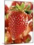 A Strawberry in the Foreground, Lots of Strawberries Behind-Dieter Heinemann-Mounted Photographic Print