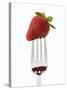 A Strawberry on a Fork-Greg Elms-Stretched Canvas