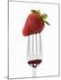 A Strawberry on a Fork-Greg Elms-Mounted Photographic Print