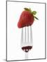 A Strawberry on a Fork-Greg Elms-Mounted Photographic Print
