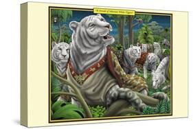 A Streak of Siberian White Tigers-Richard Kelly-Stretched Canvas