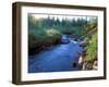 A Stream at Dawn, Kuznetsky Alatau Zapovednik, Russia-Igor Shpilenok-Framed Photographic Print