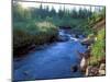 A Stream at Dawn, Kuznetsky Alatau Zapovednik, Russia-Igor Shpilenok-Mounted Photographic Print