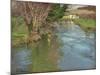 A Stream in Spring-Fritz Thaulow-Mounted Giclee Print