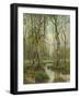 A Stream Running Through a Birch Wood-Semyon Fedorov-Framed Giclee Print