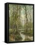 A Stream Running Through a Birch Wood-Semyon Fedorov-Framed Stretched Canvas