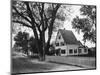 A Street in a Cape Cod Town-null-Mounted Photographic Print