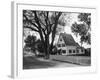 A Street in a Cape Cod Town-null-Framed Photographic Print