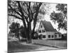 A Street in a Cape Cod Town-null-Mounted Photographic Print