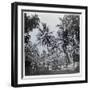 A Street in Papeete, from "Tahiti," Published in London, 1882-Colonel Stuart-wortley-Framed Giclee Print