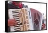 A Street Musician Plays the Accordion, Lyon, Rhone, Rhone-Alpes, France, Europe-Mark Sunderland-Framed Stretched Canvas