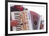 A Street Musician Plays the Accordion, Lyon, Rhone, Rhone-Alpes, France, Europe-Mark Sunderland-Framed Photographic Print