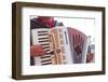 A Street Musician Plays the Accordion, Lyon, Rhone, Rhone-Alpes, France, Europe-Mark Sunderland-Framed Photographic Print