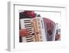 A Street Musician Plays the Accordion, Lyon, Rhone, Rhone-Alpes, France, Europe-Mark Sunderland-Framed Photographic Print