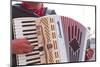 A Street Musician Plays the Accordion, Lyon, Rhone, Rhone-Alpes, France, Europe-Mark Sunderland-Mounted Photographic Print