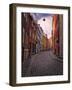 A Street Scene in Copenhagen, Denmark, Scandinavia, Europe-Jim Nix-Framed Photographic Print