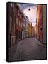 A Street Scene in Copenhagen, Denmark, Scandinavia, Europe-Jim Nix-Framed Stretched Canvas