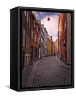 A Street Scene in Copenhagen, Denmark, Scandinavia, Europe-Jim Nix-Framed Stretched Canvas