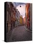 A Street Scene in Copenhagen, Denmark, Scandinavia, Europe-Jim Nix-Stretched Canvas