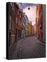 A Street Scene in Copenhagen, Denmark, Scandinavia, Europe-Jim Nix-Stretched Canvas