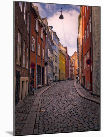 A Street Scene in Copenhagen, Denmark, Scandinavia, Europe-Jim Nix-Mounted Photographic Print