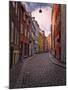 A Street Scene in Copenhagen, Denmark, Scandinavia, Europe-Jim Nix-Mounted Photographic Print