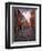 A Street Scene in Copenhagen, Denmark, Scandinavia, Europe-Jim Nix-Framed Photographic Print