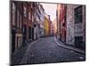 A Street Scene in Copenhagen, Denmark, Scandinavia, Europe-Jim Nix-Mounted Photographic Print