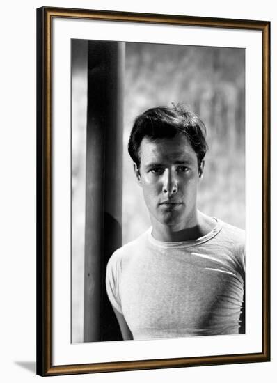 A STREETCAR NAMED DESIRE, 1951 directed by ELIA KAZAN with Marlon Brando (b/w photo)-null-Framed Photo