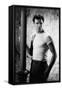 A STREETCAR NAMED DESIRE, 1951 directed by ELIA KAZAN with Marlon Brando (b/w photo)-null-Framed Stretched Canvas