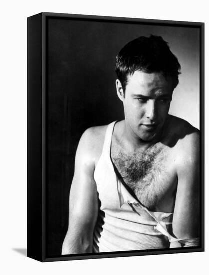 A Streetcar Named Desire, Marlon Brando, 1951-null-Framed Stretched Canvas