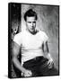 A Streetcar Named Desire, Marlon Brando 1951-null-Framed Stretched Canvas