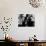 A Streetcar Named Desire, Vivien Leigh, Marlon Brando, 1951-null-Photo displayed on a wall