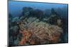 A Strong Current Sweeps across a Reef Slope in Indonesia-Stocktrek Images-Mounted Photographic Print