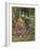 A Study for 'La Belle Dame Sans Merci', C.1893-John William Waterhouse-Framed Giclee Print