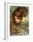 A Study for the Head of Venus-John William Waterhouse-Framed Giclee Print