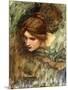 A Study for the Head of Venus-John William Waterhouse-Mounted Giclee Print
