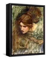 A Study for the Head of Venus-John William Waterhouse-Framed Stretched Canvas